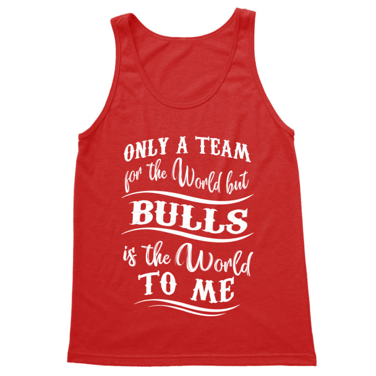 Only a team for the world - Chicago Bulls