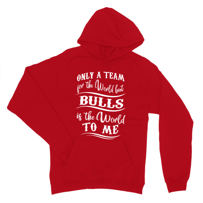 Only a team for the world - Chicago Bulls