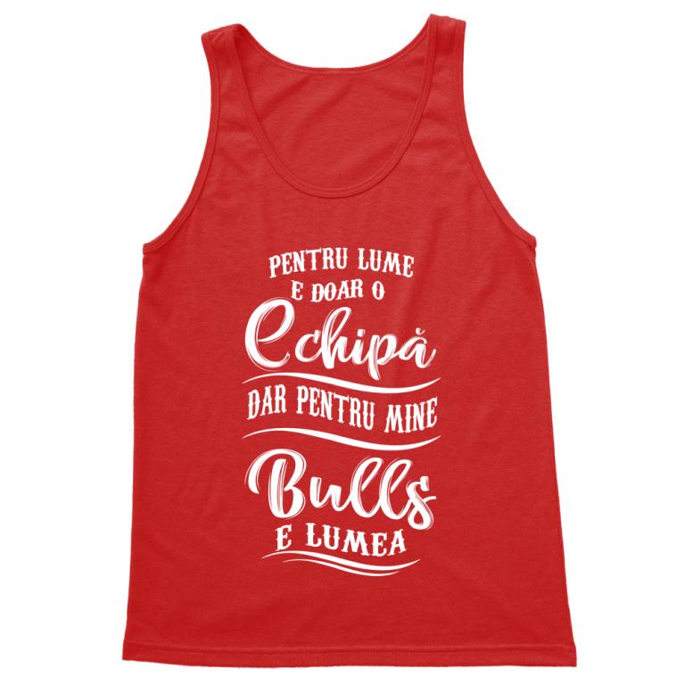 Pentru lume e o doar o echipă - Chicago Bulls