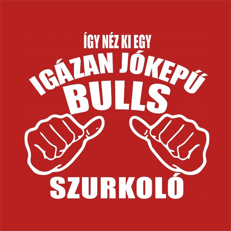 Igazán jóképű szurkoló - Bulls