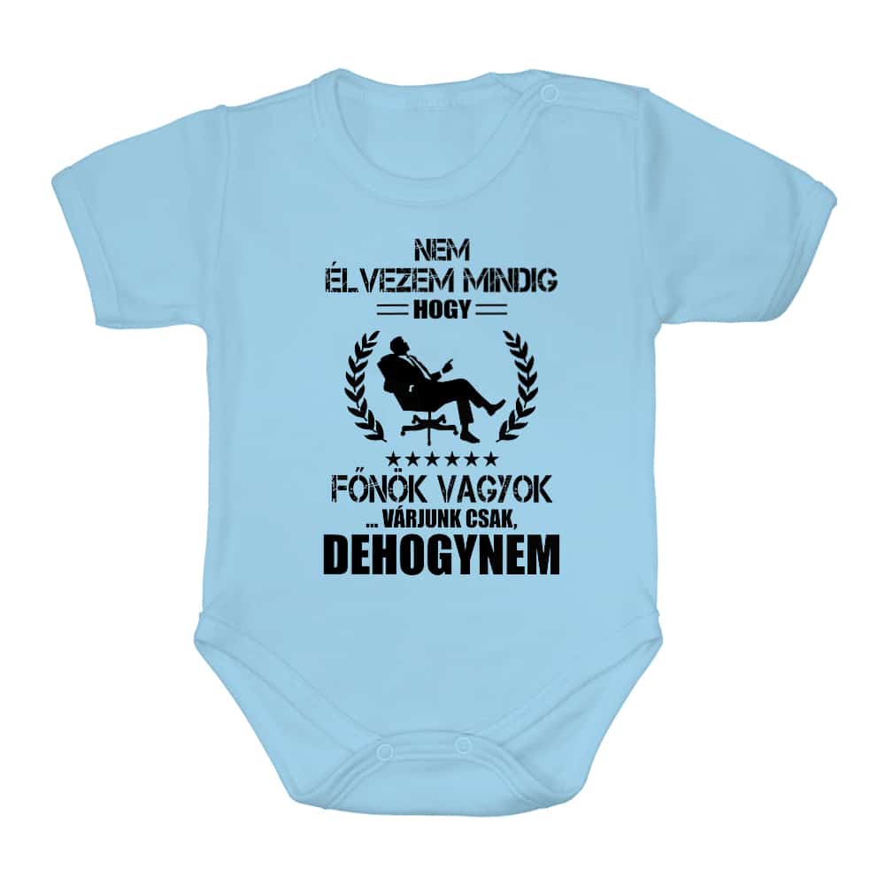 Nem élvezem mindig, hogy Főnök vagyok Baba Body