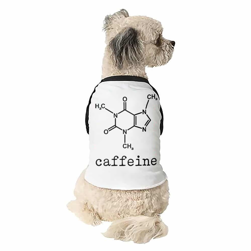 Caffeine Kutyapóló