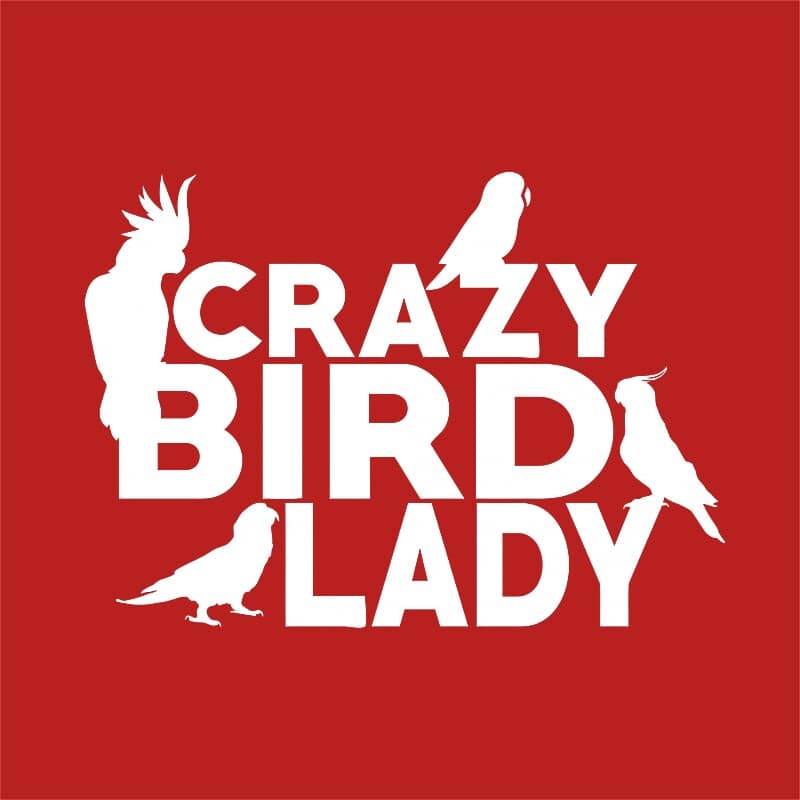 Crazy Bird Lady