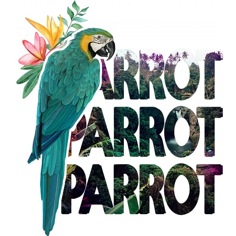 Parrot Parrot Parrot