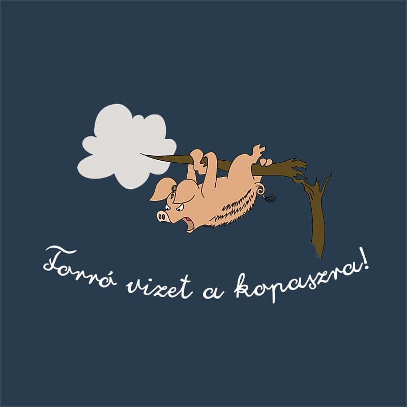 Forró Vizet a Kopaszra