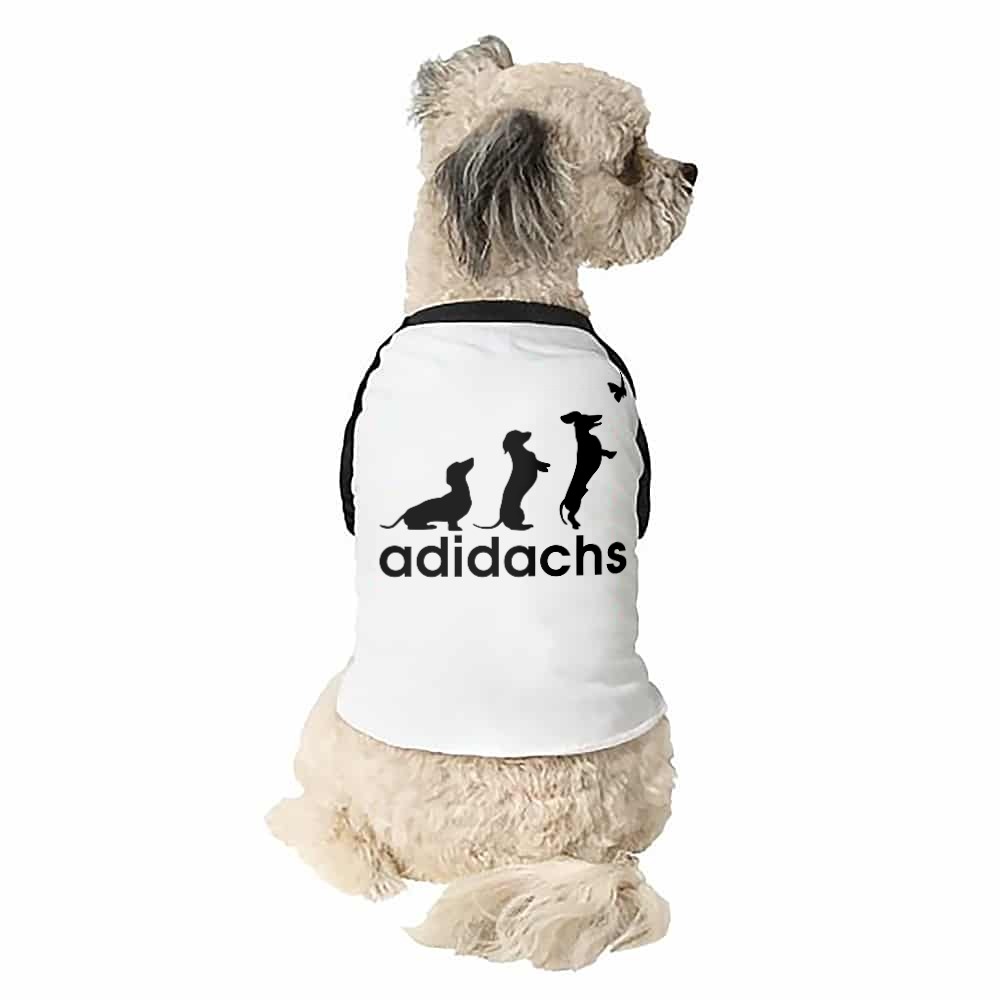 Adidachs Kutyapóló