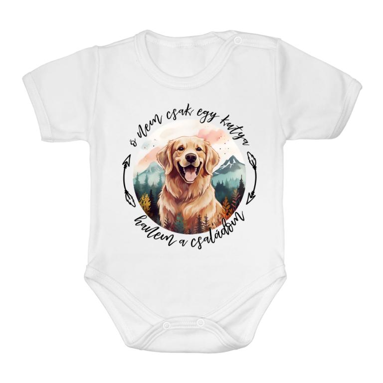 Ő a családom - golden retriever