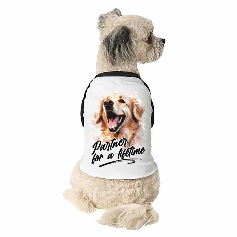 Friends for life - golden retriever