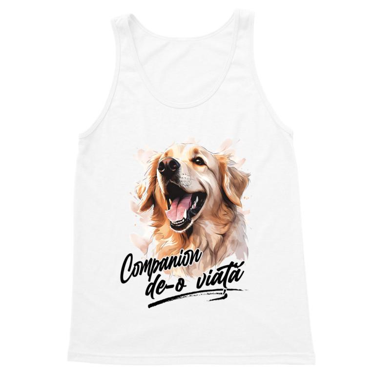 Companion - golden retriever