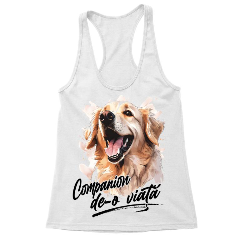 Companion - golden retriever