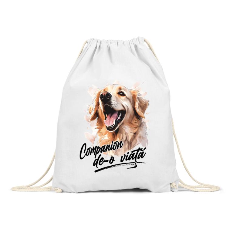 Companion - golden retriever