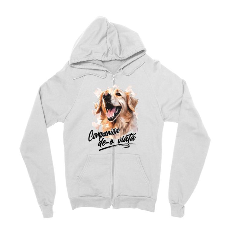 Companion - golden retriever