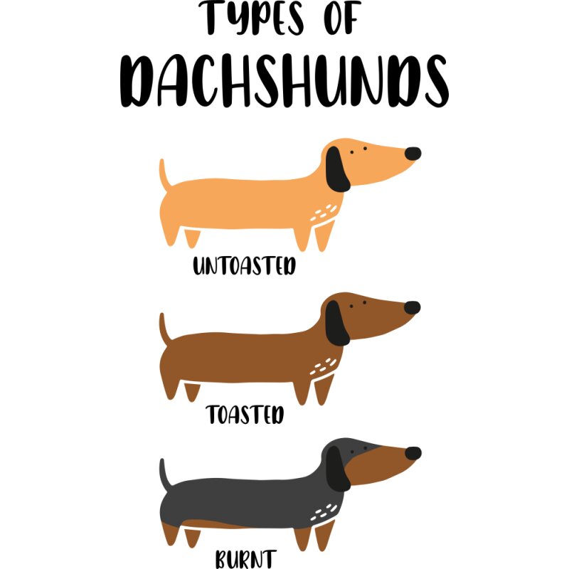 Types of dachshund
