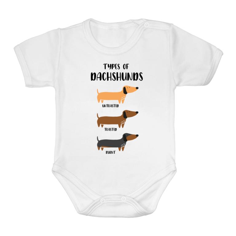 Types of dachshund