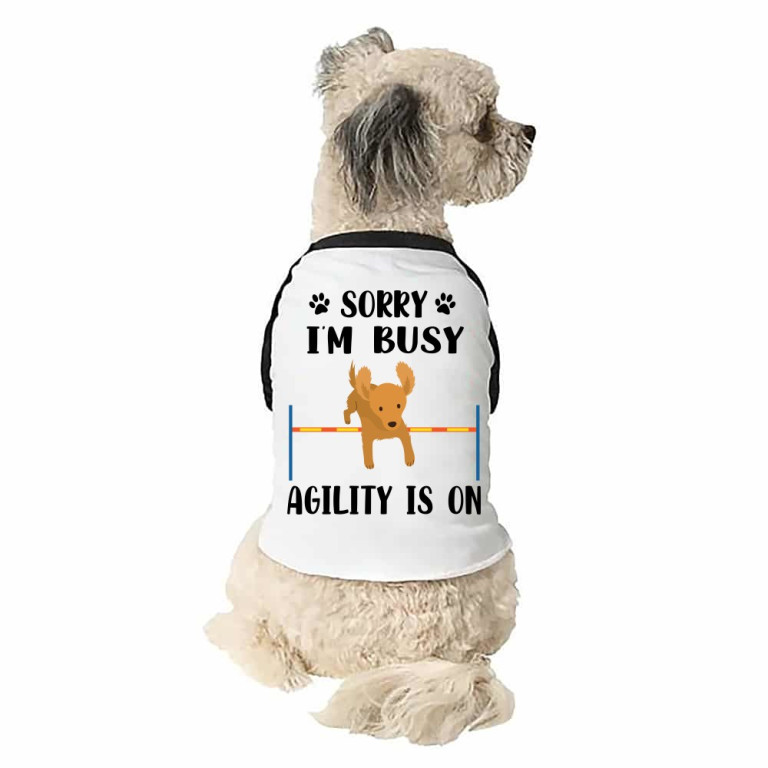 Dog agility
