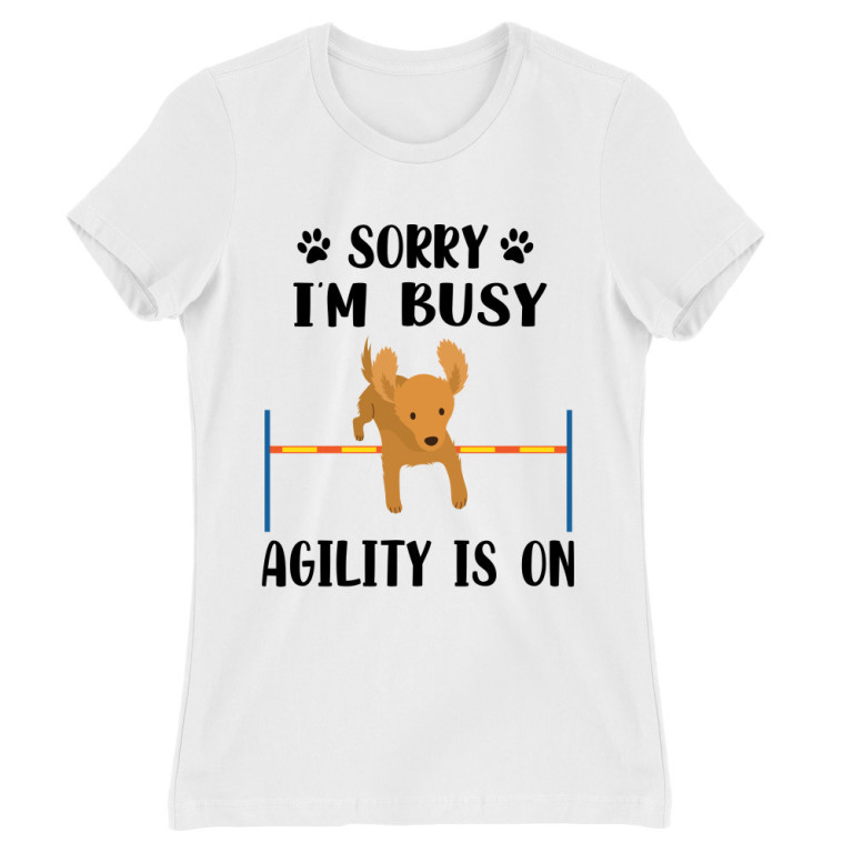 Dog agility