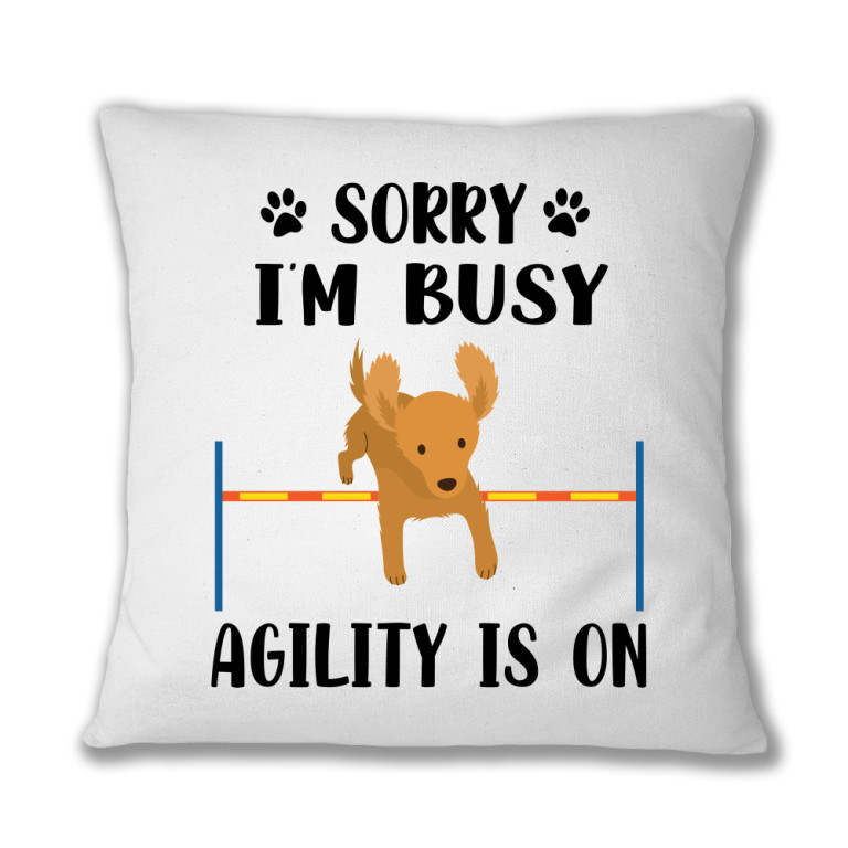 Dog agility