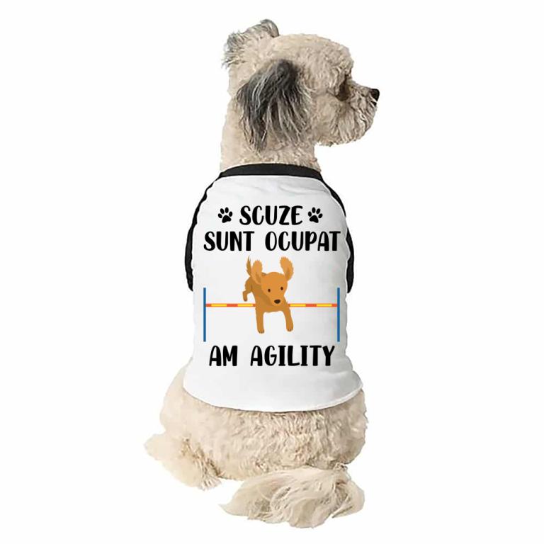 Scuze, am agility