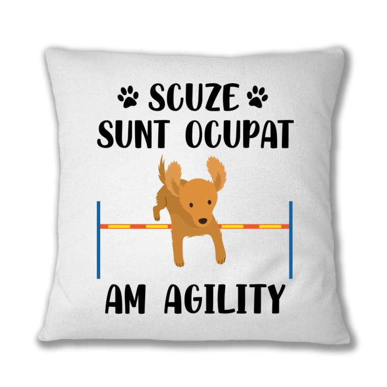 Scuze, am agility