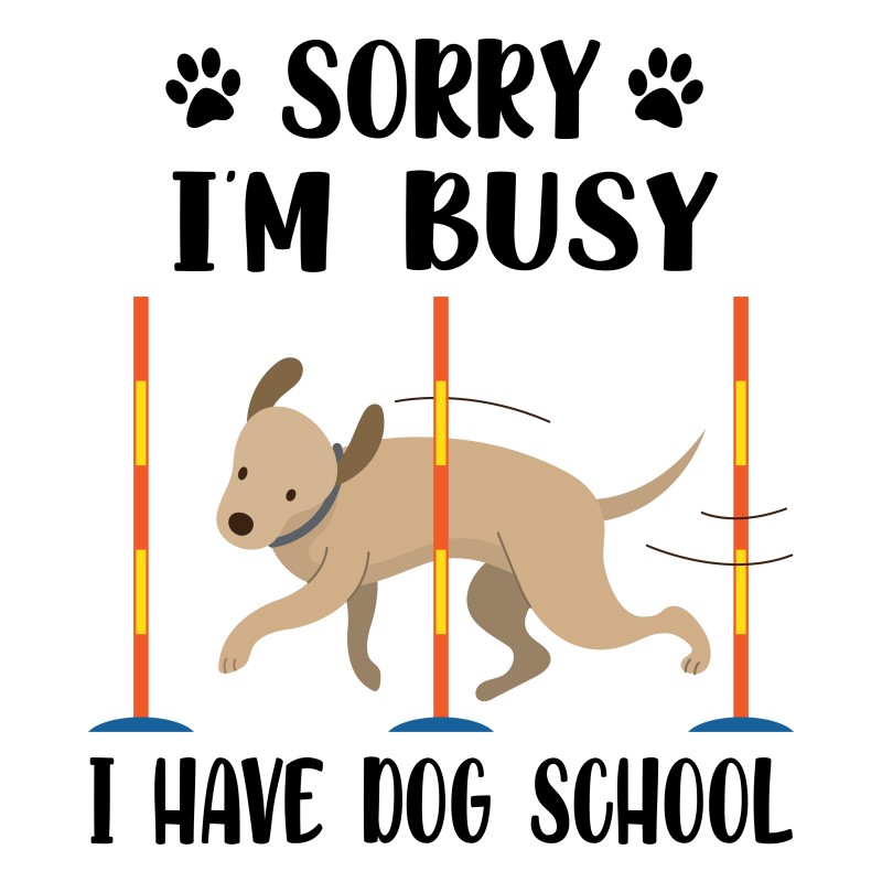 Dog training - Design preview