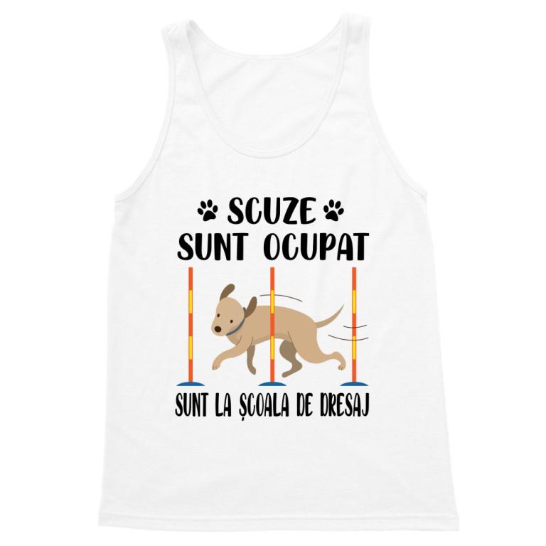 Scuze, sunt la școala de dresaj