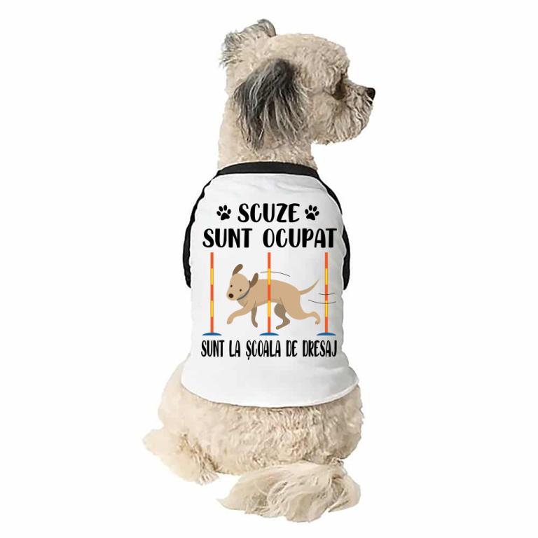 Scuze, sunt la școala de dresaj