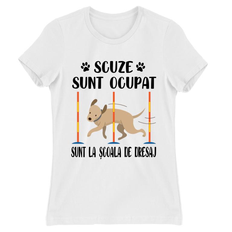 Scuze, sunt la școala de dresaj