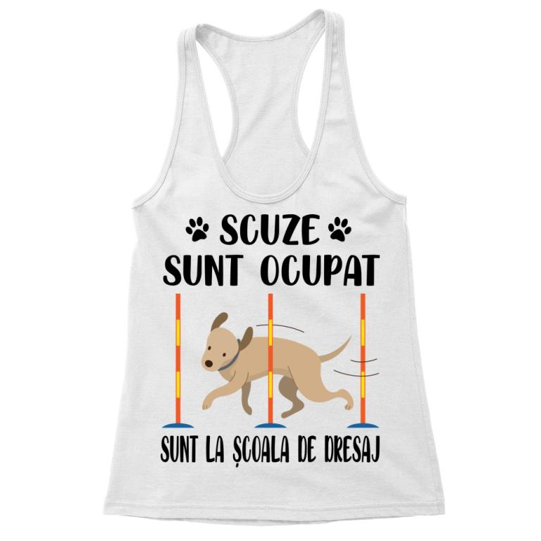 Scuze, sunt la școala de dresaj