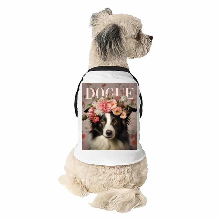 Dogue - Border Collie