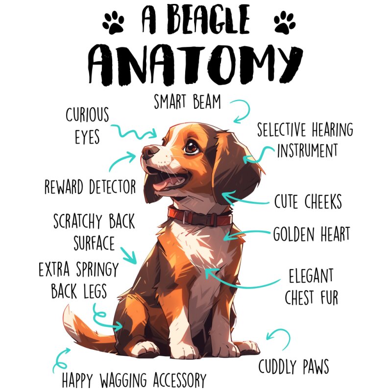 Amantomy of a beagle