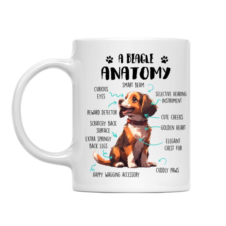 Amantomy of a beagle