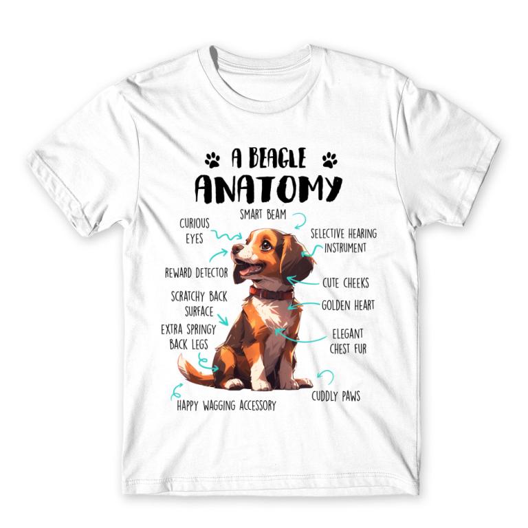 Amantomy of a beagle