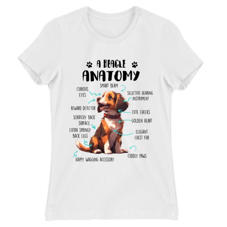 Amantomy of a beagle