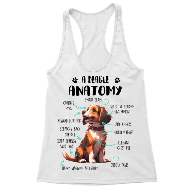 Amantomy of a beagle