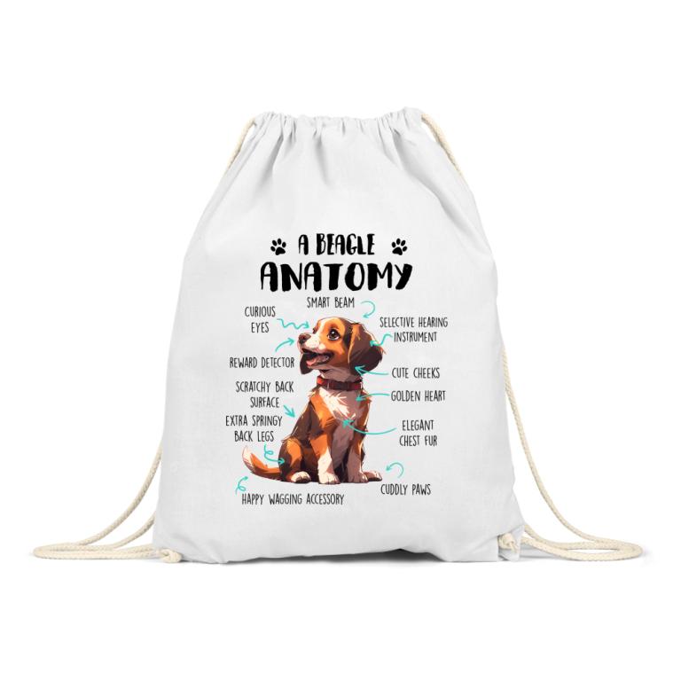 Amantomy of a beagle