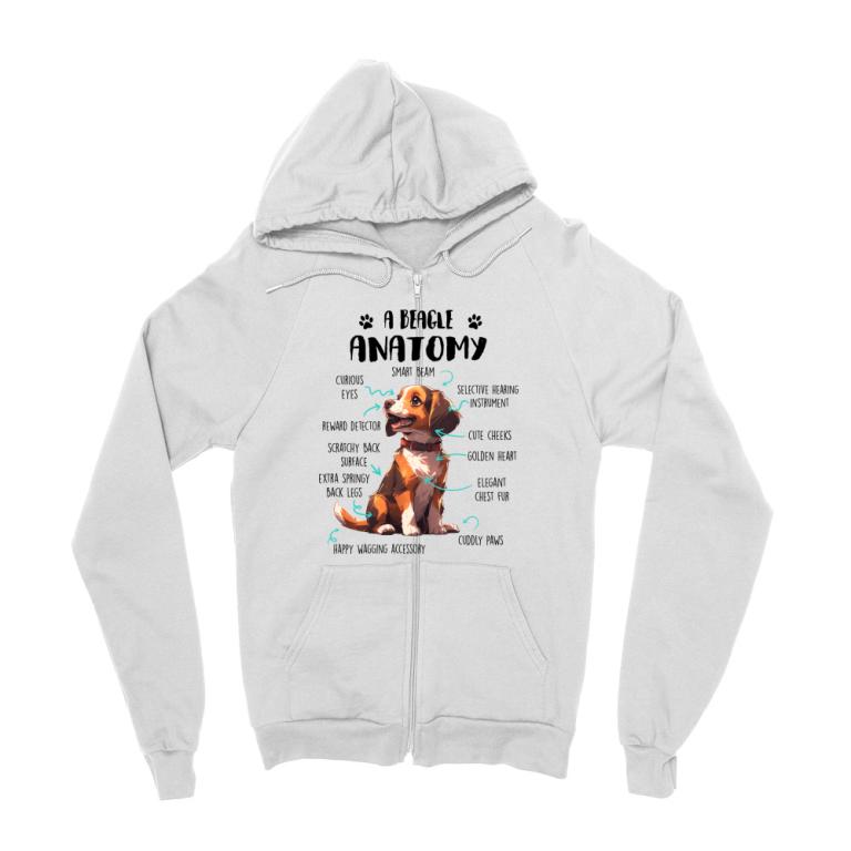Amantomy of a beagle