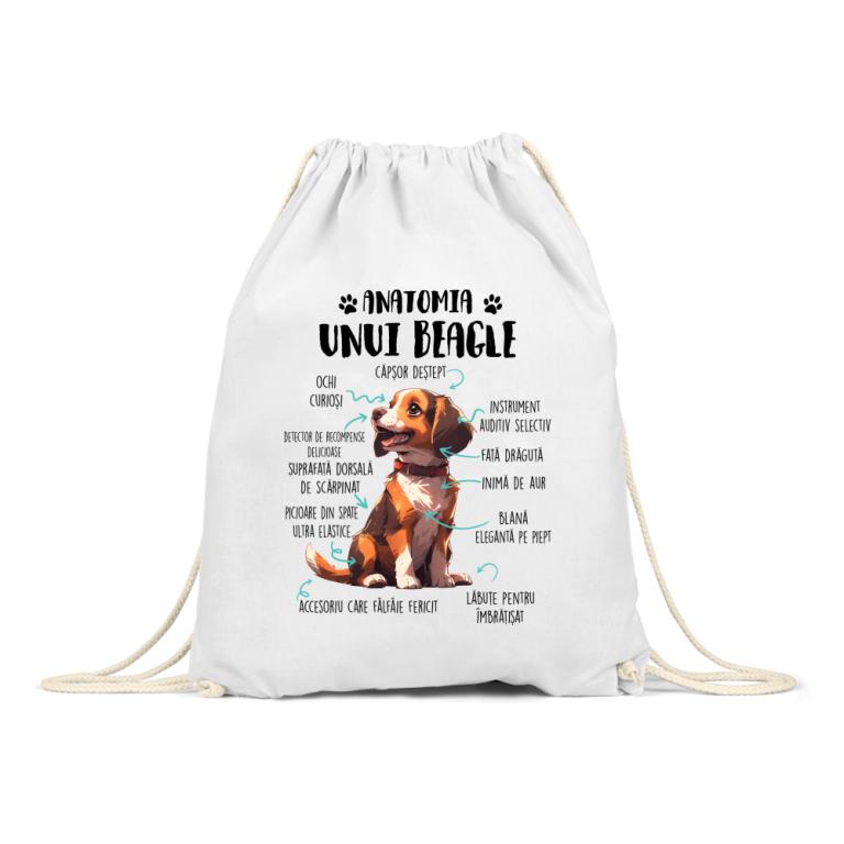 Anatomia unui beagle