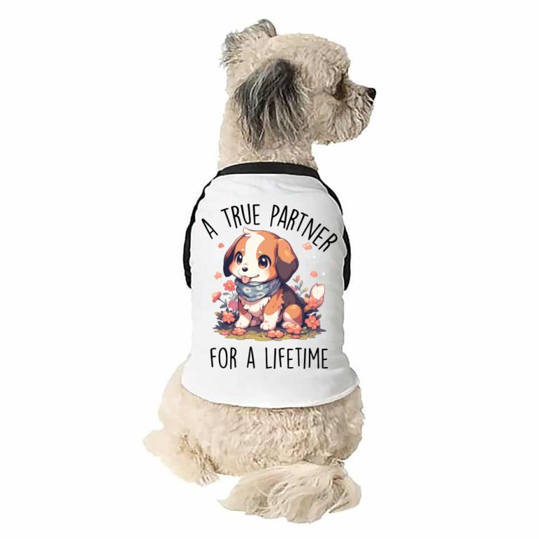True friend - beagle