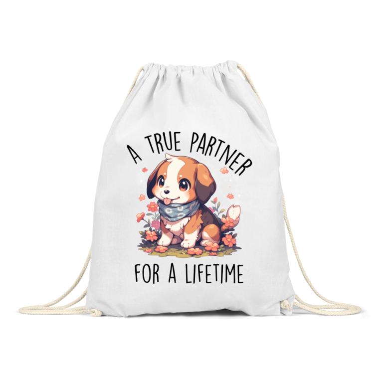 True friend - beagle