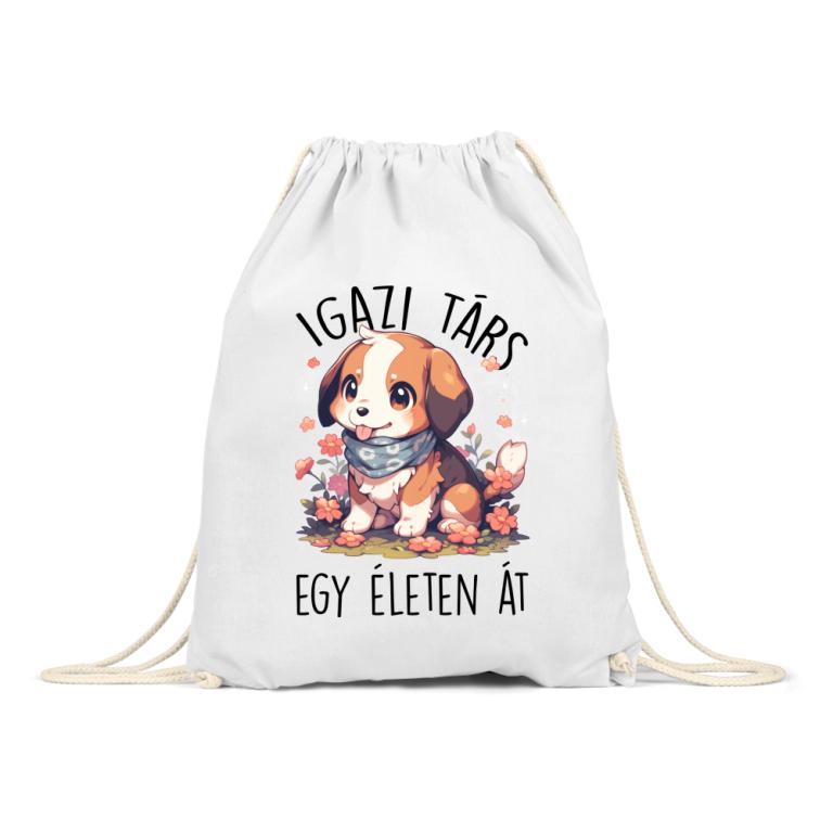 Igazi társ - beagle