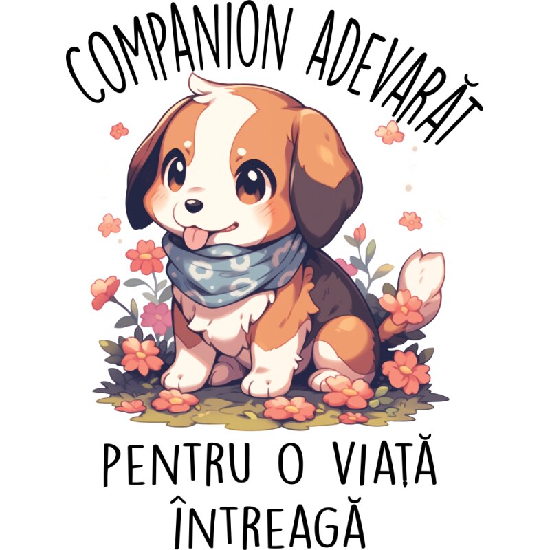 Companion adevărat - Beagle