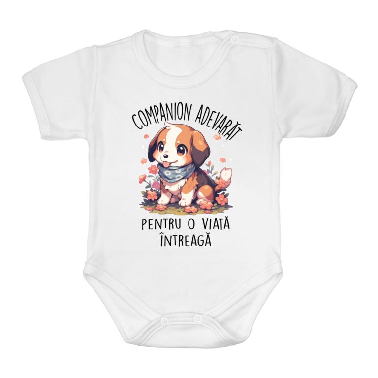 Companion adevărat - Beagle