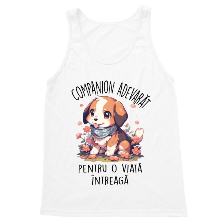 Companion adevărat - Beagle