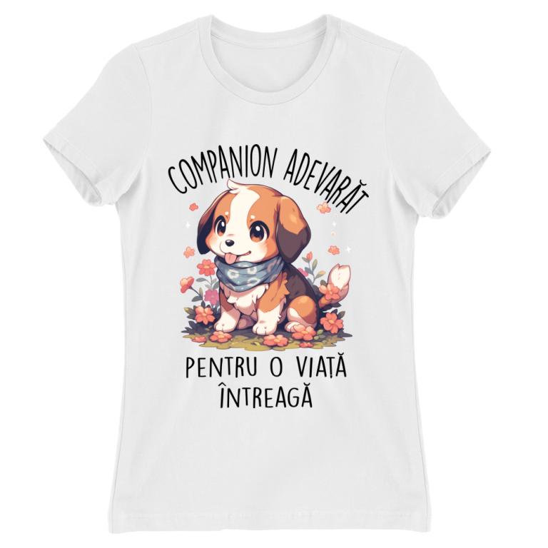 Companion adevărat - Beagle