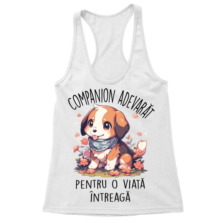 Companion adevărat - Beagle