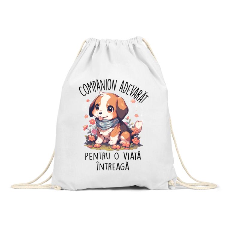 Companion adevărat - Beagle