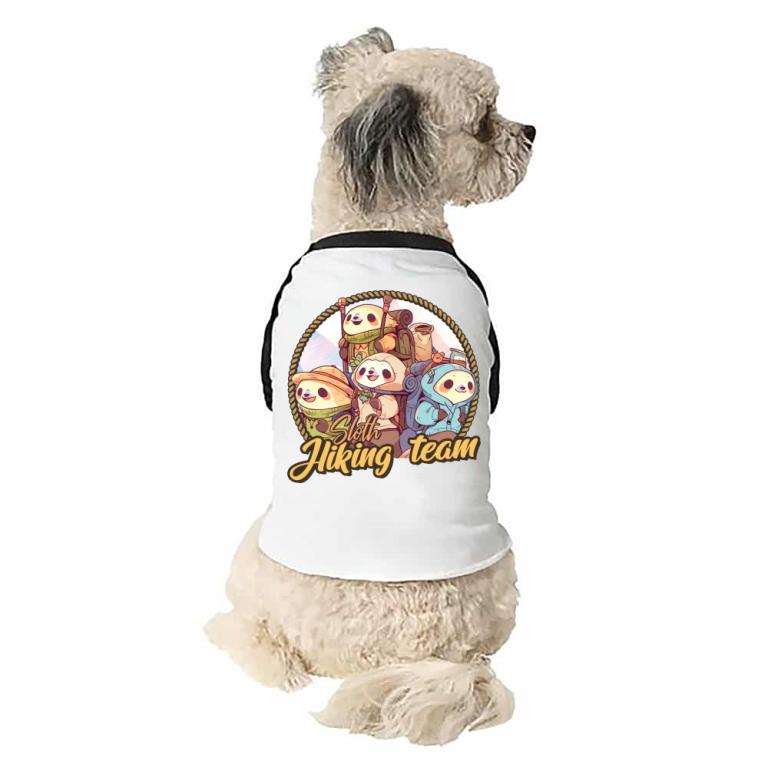 Sloth hiking team logo