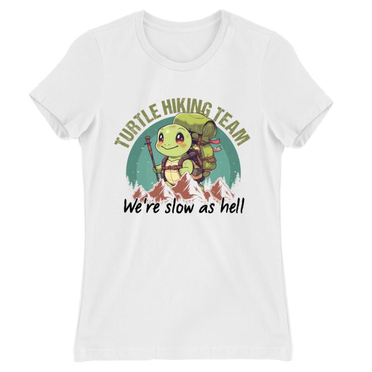 Turtle hiking team