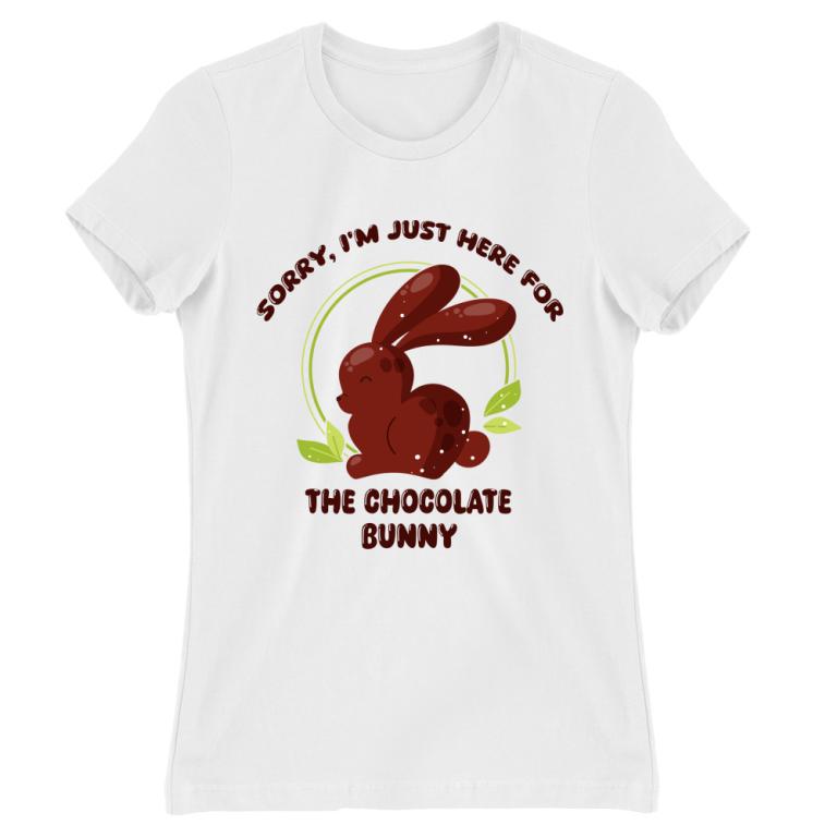 I came for the chocolate