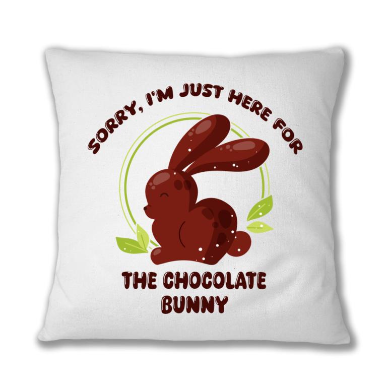 I came for the chocolate